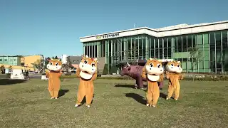 횡성시네마 1 횡성한우댄스