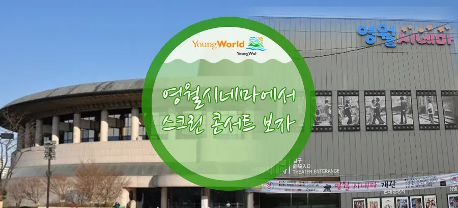 영월시네마 홈페이지
