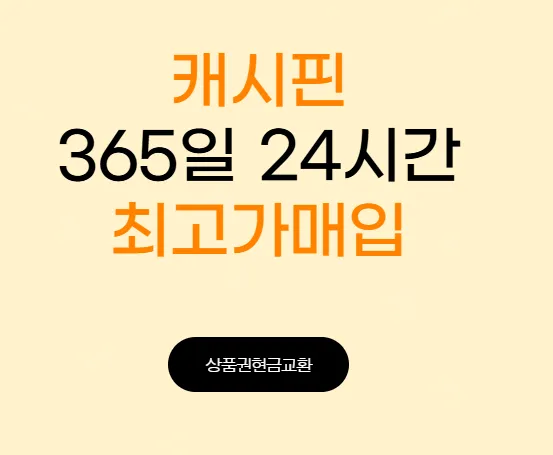 캐시핀 6 캐시핀 살펴보기 4