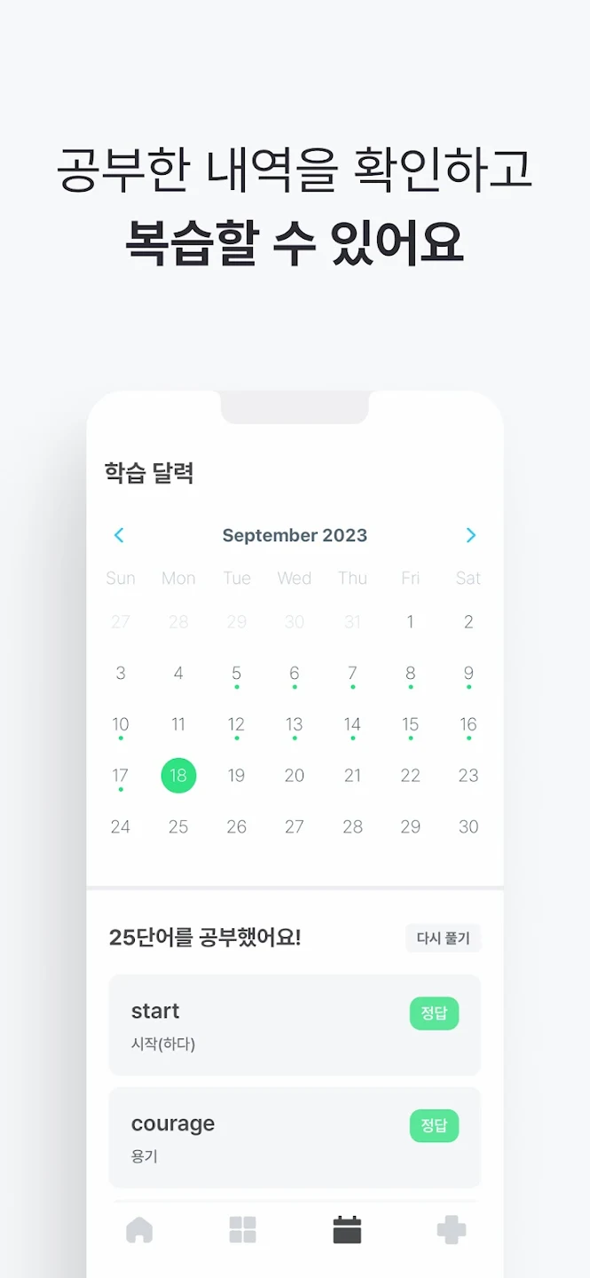 캐시보카 10 캐시보카 살펴보기 6