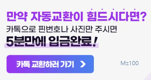 이페이핀 살펴보기 1