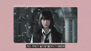 헤메코랩 1 헤메코랩 유튜브 영상