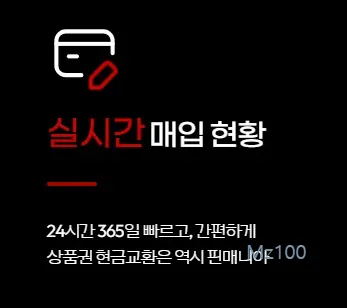 핀매니아 1 상품권 실시간 현금 교환 핀매니아 가이드 (가격부터 사용법까지)