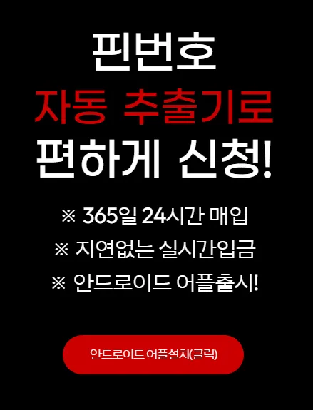 핀매니아 4 핀매니아 3